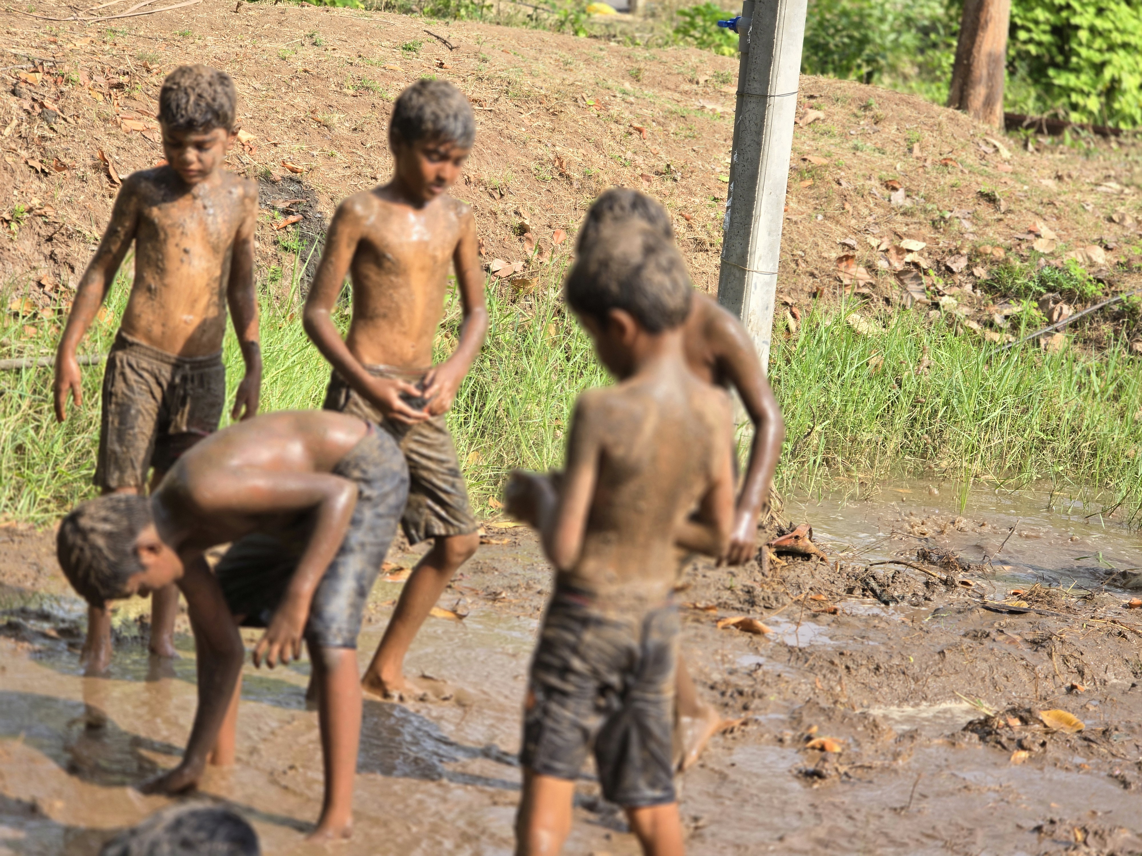 Aatrral family camp at Iyal Farm — photo 23