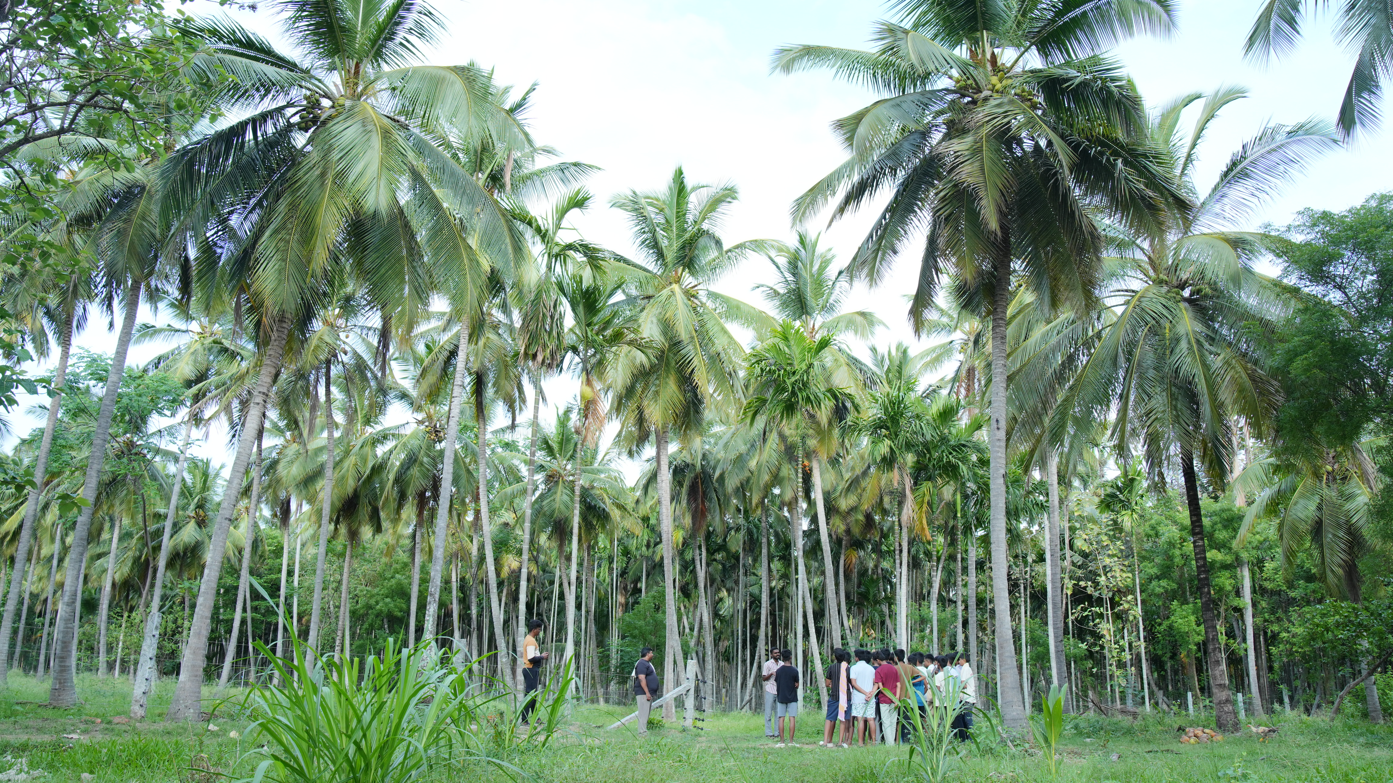 School visit at Iyal Farm — photo 14