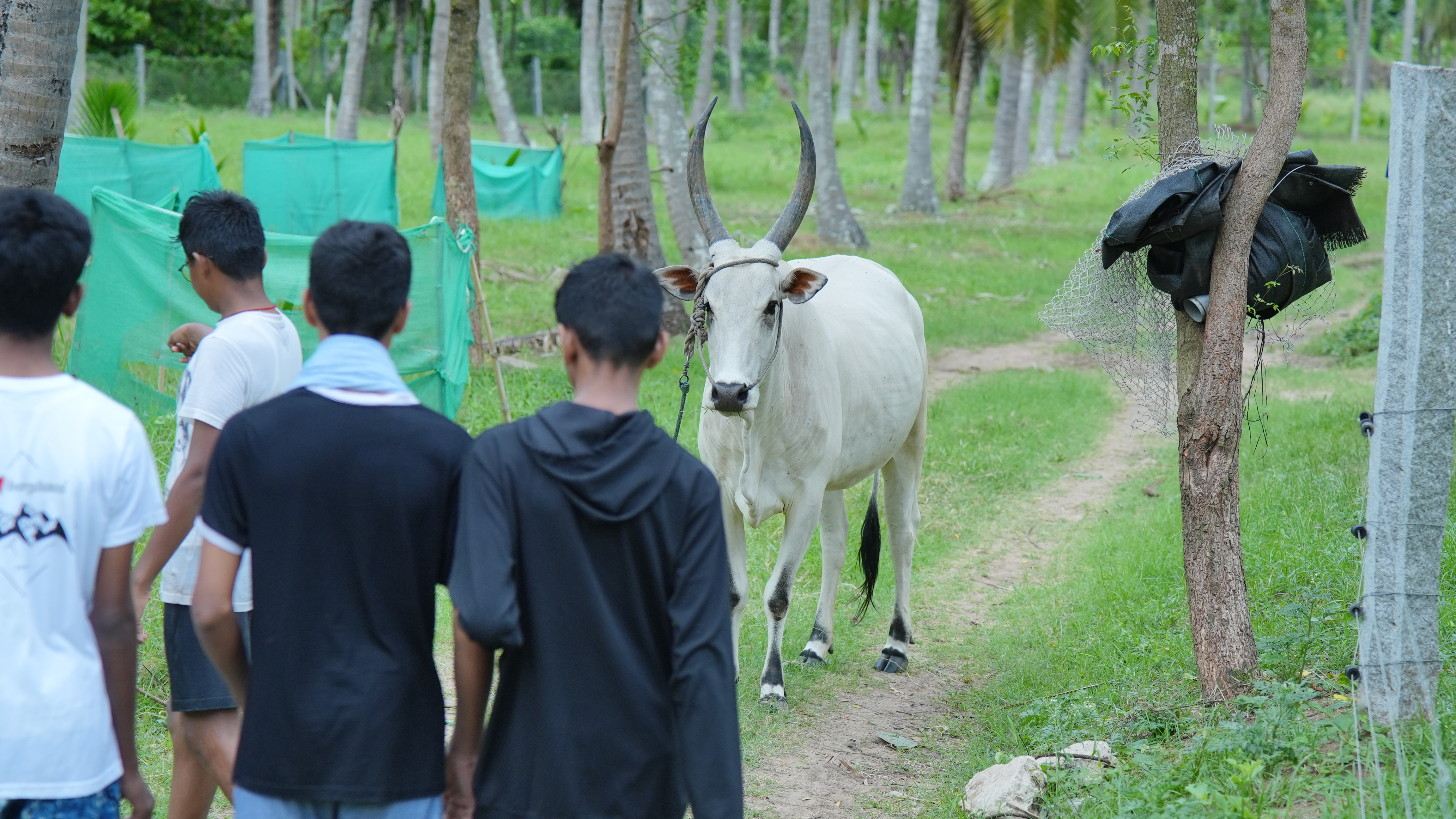 School visit at Iyal Farm — photo 19
